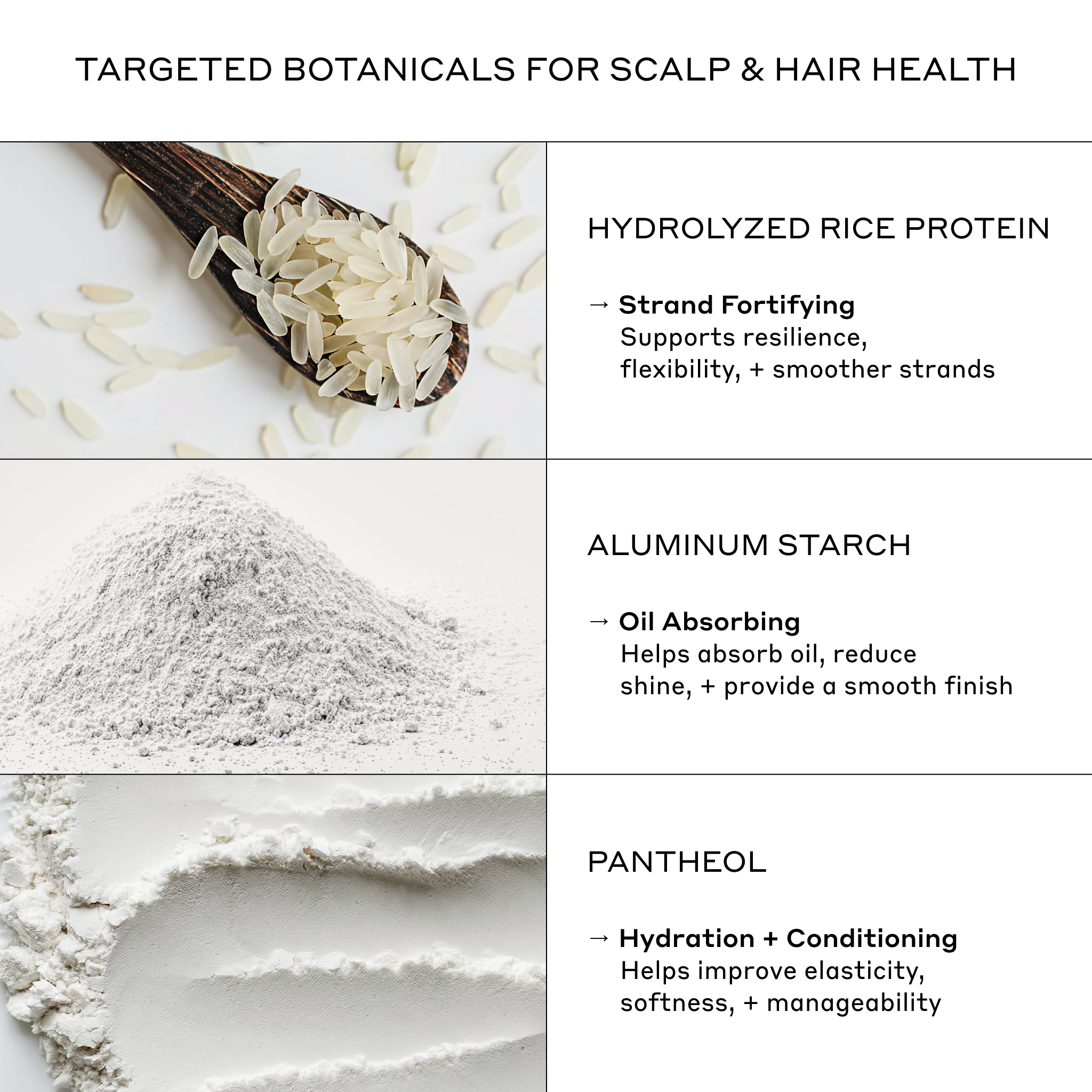 Zenagen Re:Zen Dry Shampoo key ingredients graphic featuring the product and ingredient information.