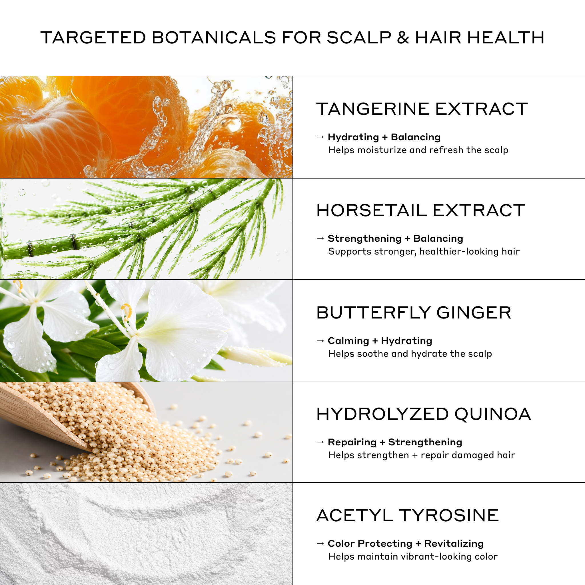 Zenagen Eclipse Shampoo and Conditioner key ingredients graphic featuring the two products and ingredient information.