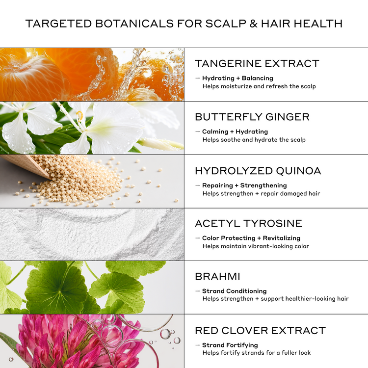 An informational graphic titled 'TARGETED BOTANICALS FOR SCALP & HAIR HEALTH' listing six ingredient panels: Tangerine Extract, Butterfly Ginger, Hydrolyzed Quinoa, Acetyl Tyrosine, Brahmii, and Red Clover Extract, each with a botanical photo and short descriptive text.