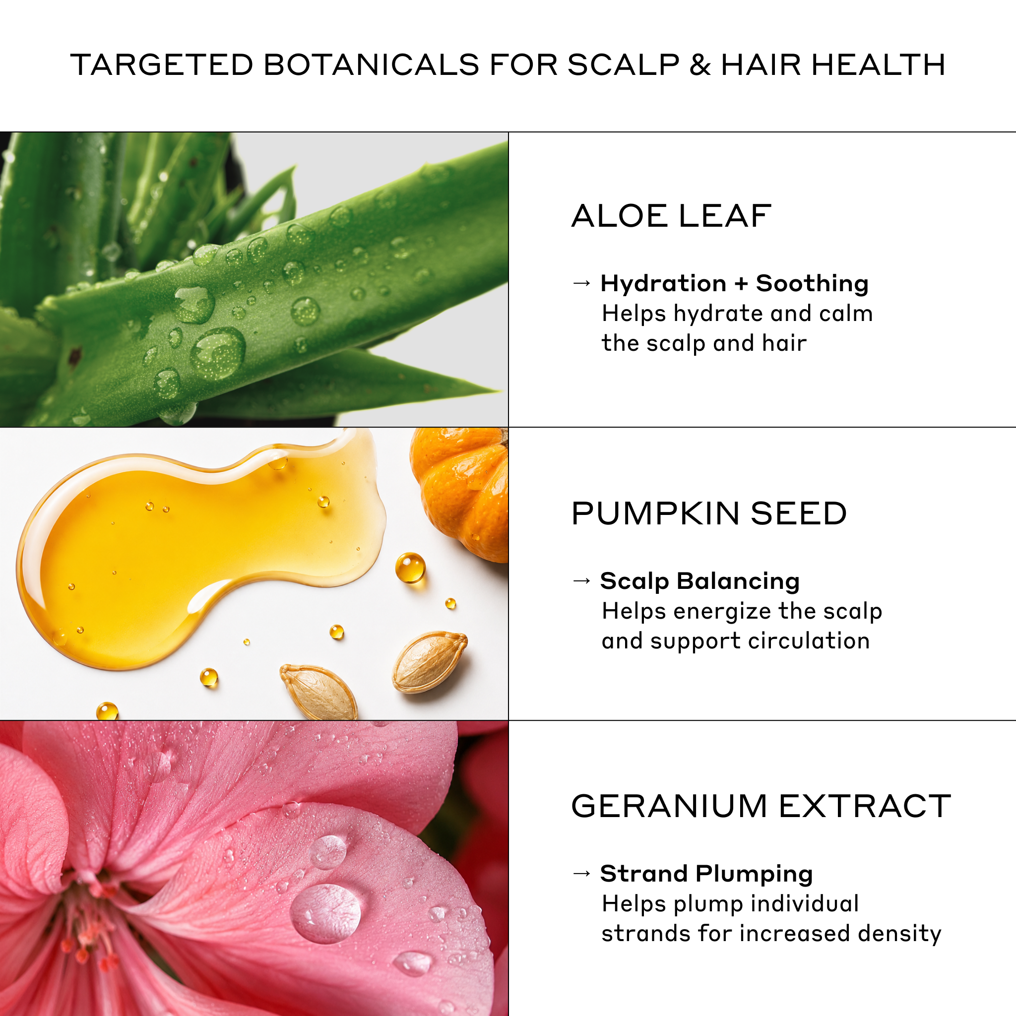 Zenagen Flexture Paste key ingredients graphic featuring the Flexture Paste product and ingredient information.