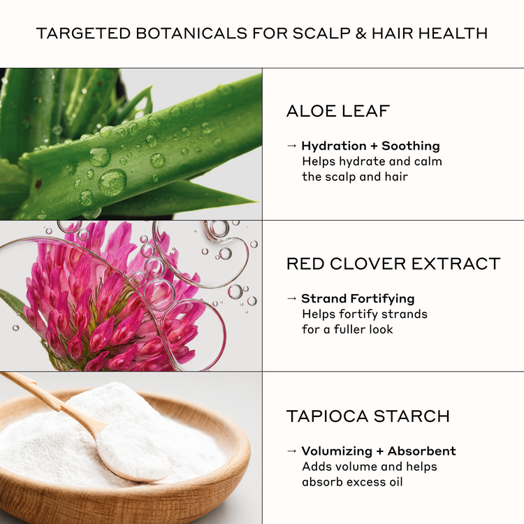 An informational graphic for a hair and scalp treatment, featuring three ingredient panels: aloe leaf, pink red clover flowers, and white tapioca starch in a wooden bowl with a spoon. The text reads 'TARGETED BOTANICALS FOR SCALP & HAIR HEALTH' and lists benefits for aloe leaf, red clover extract, and tapioca starch.