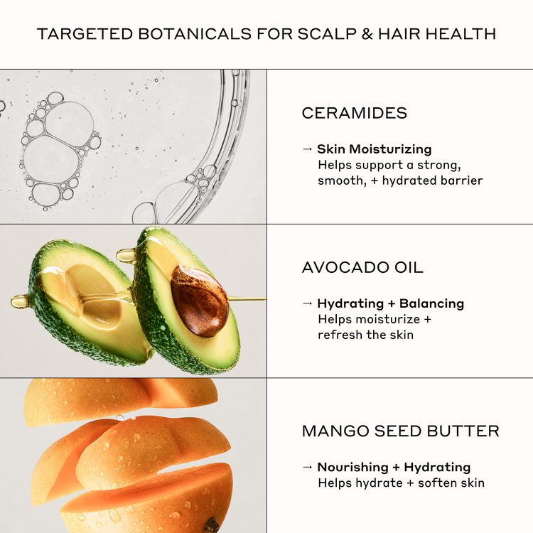 An informational graphic titled 'TARGETED BOTANICALS FOR SCALP & HAIR HEALTH' with three ingredient panels: ceramides shown with a skin-bubble illustration, avocado oil with sliced avocados and oil droplets, and mango seed butter with sliced mangoes.