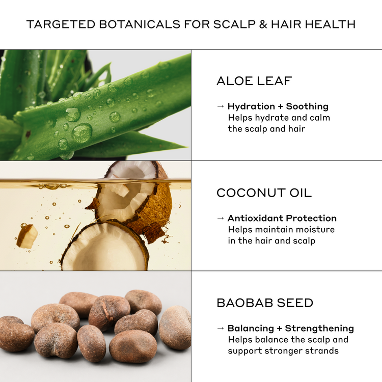 An informational graphic titled 'TARGETED BOTANICALS FOR SCALP & HAIR HEALTH' showing three product ingredient panels: aloe leaf with text about hydration and soothing, coconut oil with text about antioxidant protection, and baobab seeds with text about balancing and strengthening.
