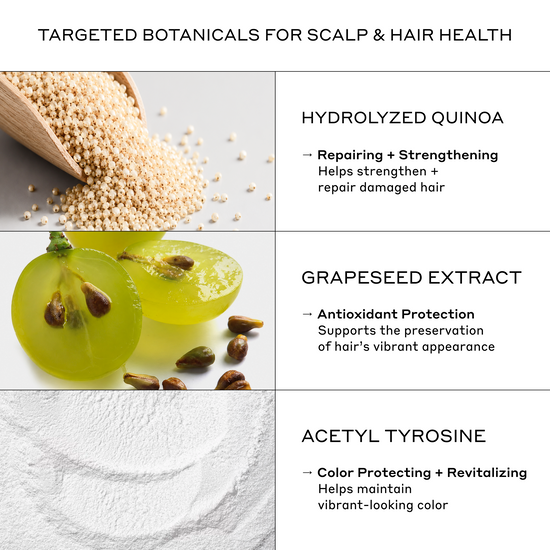 An informational graphic titled 'TARGETED BOTANICALS FOR SCALP & HAIR HEALTH' with three ingredient panels: hydrolyzed quinoa in a wooden scoop, green grapeseed extract, and a close-up of white powder, with text describing benefits for scalp and hair health.