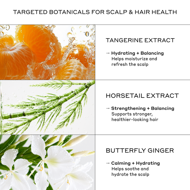 Product label with tangerine, horsetail, and butterfly ginger extracts for scalp and hair health.