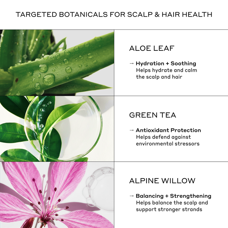 Targets botanicals for scalp and hair health with images of aloe leaf, green tea leaves, and alpine willow flower.