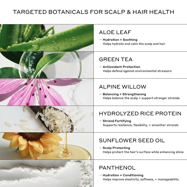 List of targeted botanicals for scalp and hair health with corresponding images and descriptions.