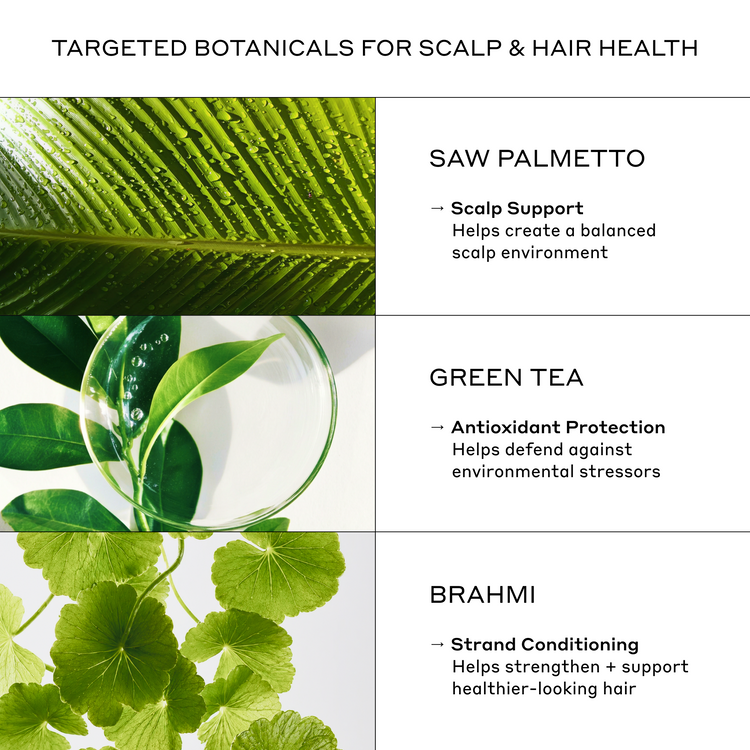 Product packaging with green botanicals and text on scalp and hair health.