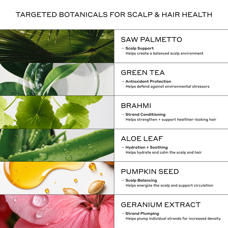 An informational graphic titled 'TARGETED BOTANICALS FOR SCALP & HAIR HEALTH' listing six botanical ingredients: Saw Palmetto, Green Tea, Brahmi, Aloe Leaf, Pumpkin Seed, and Geranium Extract, each paired with a botanical photo and short benefit text.