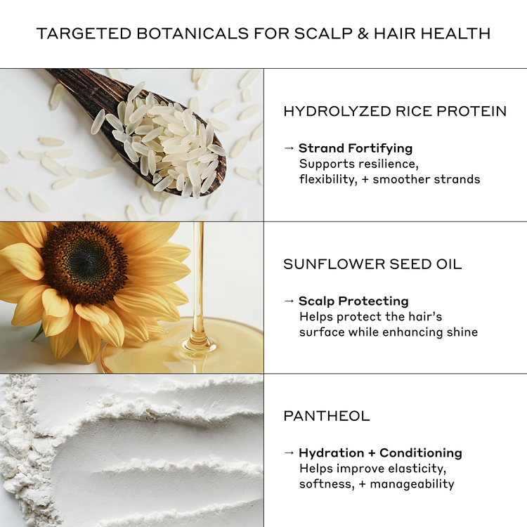An informational graphic titled 'TARGETED BOTANICALS FOR SCALP & HAIR HEALTH' showing three ingredient panels: hydrolyzed rice protein from rice grains in a spoon, sunflower seed oil with a sunflower, and panthol powder on a white background, with text describing benefits for scalp and hair health.