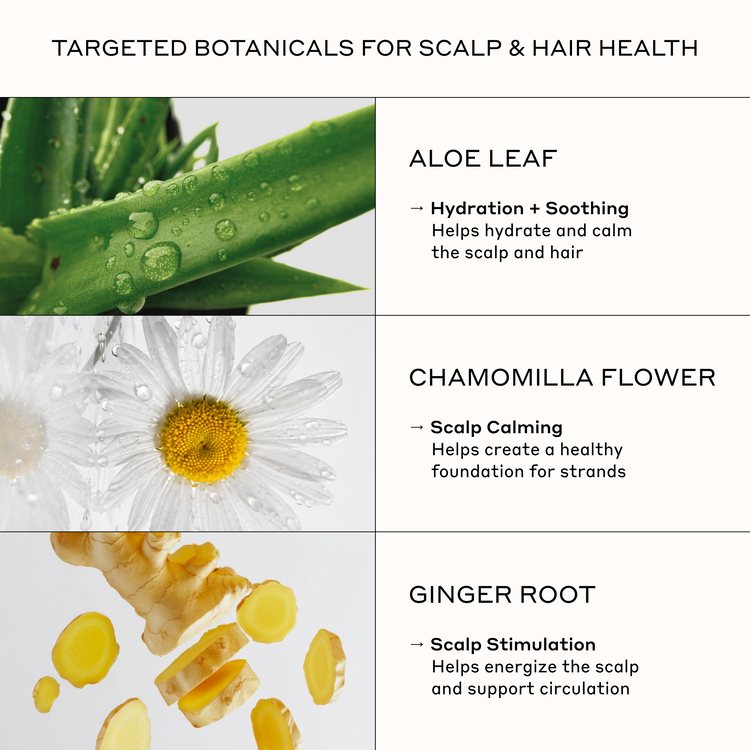 An informational graphic titled 'TARGETED BOTANICALS FOR SCALP & HAIR HEALTH' with three panels showing aloe leaf, chamomilla flower, and ginger root, plus text describing benefits for scalp and hair health.