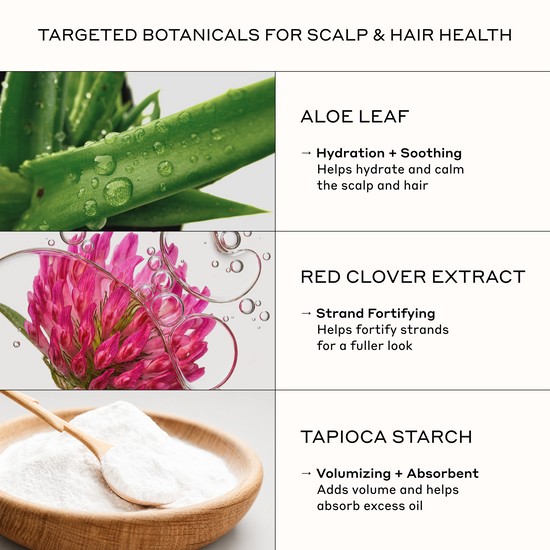 An informational graphic for a hair and scalp treatment, featuring three ingredient panels: aloe leaf, pink red clover flowers, and white tapioca starch in a wooden bowl with a spoon. The text reads 'TARGETED BOTANICALS FOR SCALP & HAIR HEALTH' and lists benefits for aloe leaf, red clover extract, and tapioca starch.