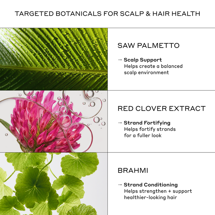 A three-panel infographic detailing botanical ingredients for scalp and hair health. The top panel shows a green saw palmetto leaf with text reading 'SAW PALMETTO' and 'Scalp Support'.
