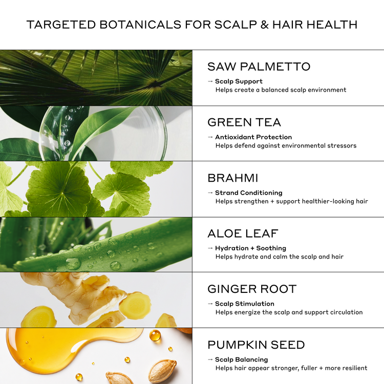 An informational infographic titled 'TARGETED BOTANICALS FOR SCALP & HAIR HEALTH' listing seven botanical ingredients: Saw Palmetto, Green Tea, Brahmi, Aloe Leaf, Ginger Root, and Pumpkin Seed, each with a corresponding botanical photo and description of benefits.